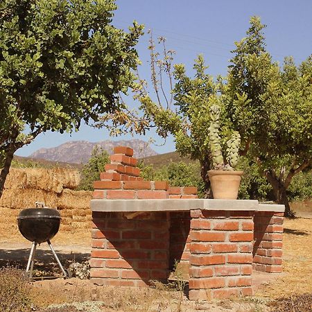 Las Orquideas Valle de Guadalupe Zewnętrze zdjęcie