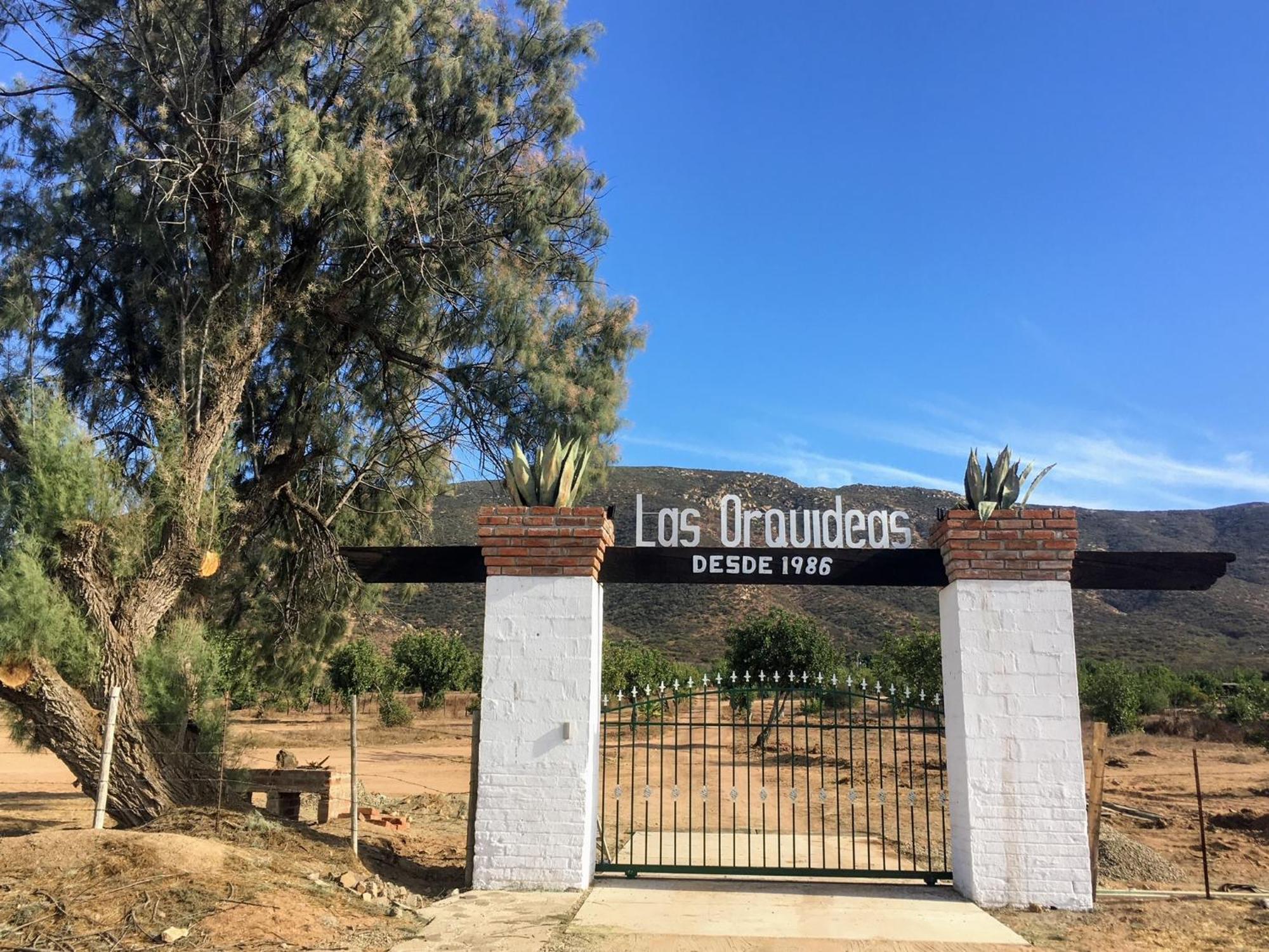 Las Orquideas Valle de Guadalupe Zewnętrze zdjęcie