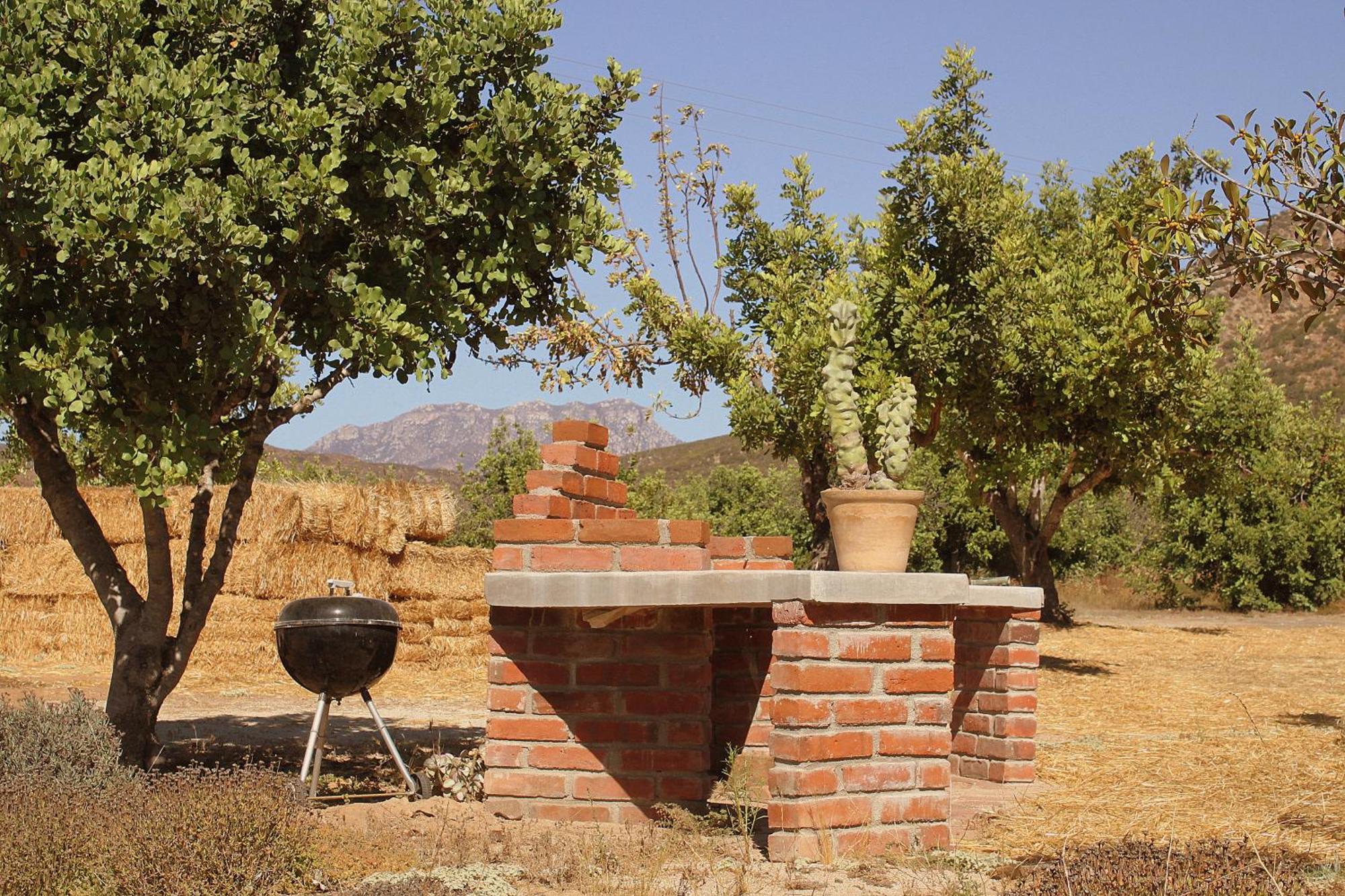 Las Orquideas Valle de Guadalupe Zewnętrze zdjęcie