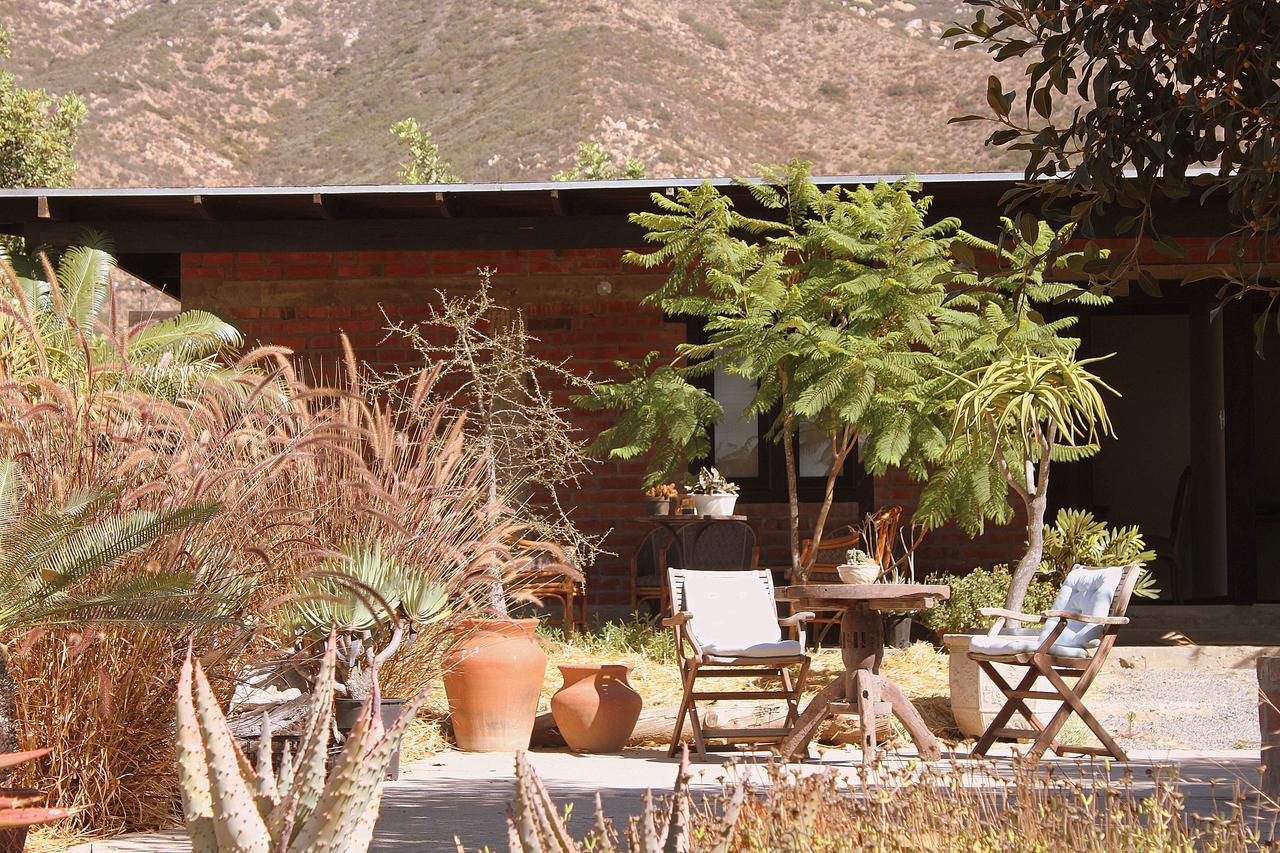 Las Orquideas Valle de Guadalupe Zewnętrze zdjęcie